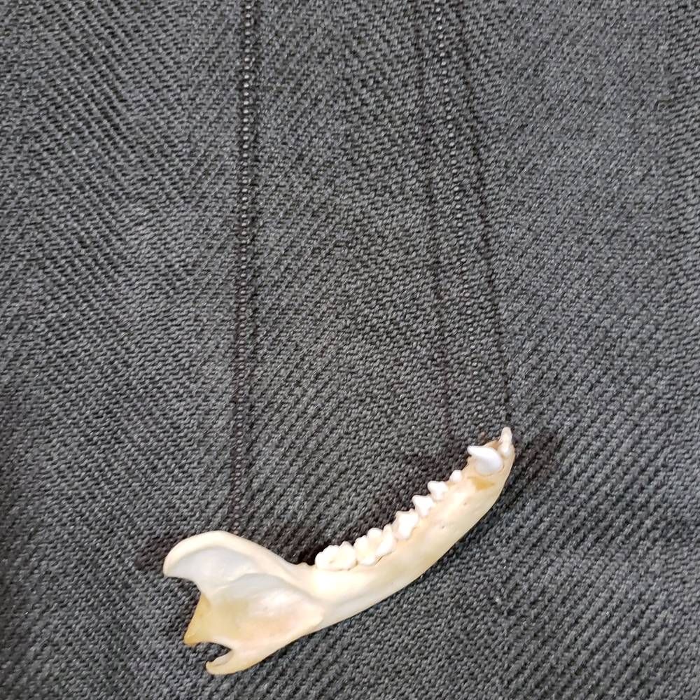 Homemade jawbone necklace